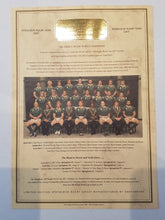 Load image into Gallery viewer, Springbok Rugby Jersey - Limited Commemorative Edition incl Cap discounted by 19% - gr8sportskits