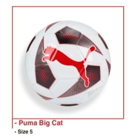 Soccer Ball - Puma Big Cat - Sz 5 - gr8sportskits